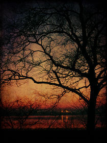 Sunset over lake von Evita Knospina