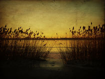 Lake in winter von Evita Knospina