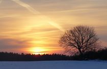 Sonnenuntergang im Winter by Heidrun Carola Herrmann