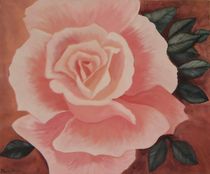 Rosenblüte von Marion Kotyba