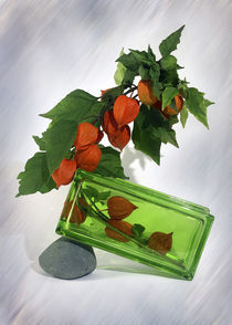 Vase mit Lampions by Wolfgang Wittpahl