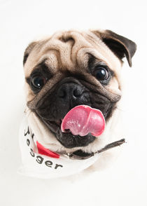 I love Jogger- Dog by miekephotographie