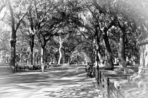 Central Park Stroll B&W by Ian C Whitworth