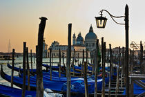 Venice Late Day Sun von Ian C Whitworth