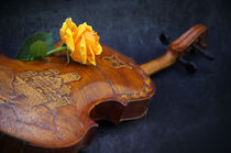 El violín von AD DESIGN Photo + PhotoArt