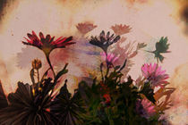 Schattenblumen by pahit