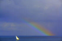 Dhow sailing with rainbow 2 by Leandro Bistolfi