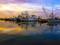 San Diego Tuna Harbor von Ken Williams