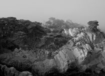 Point Lobos #7 von Ken Dvorak