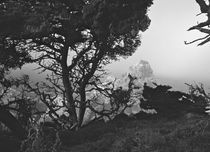 Point Lobos #8 von Ken Dvorak