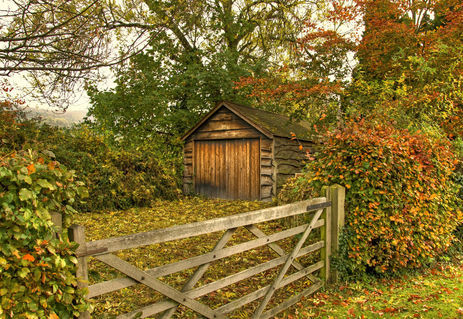 Autumn-shed