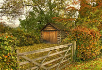 The Autumn Shed by Len Bage