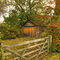 Autumn-shed