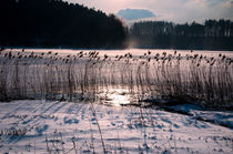 Frozen Landscape by Len Bage