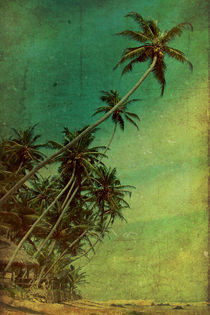 Tropical Vestige by Andrew Paranavitana