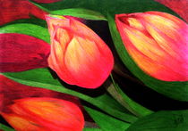 Tulips by m-tugba-tarakcioglu