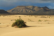 Fuerteventura, Dünenlandschaft mit Vulkanbergen bei Corralejo by Frank Rother