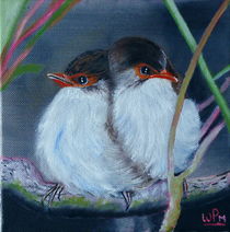 Fairy Wrens by Wendy Mitchell