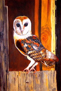 Barn Owl von Wendy Mitchell
