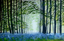 Bluebell wood by Wendy Mitchell