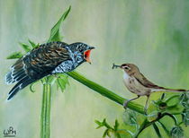 Cuckoo by Wendy Mitchell