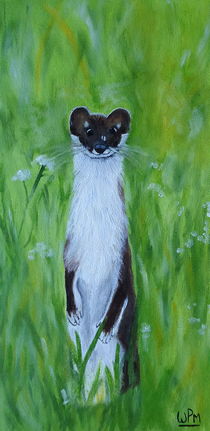 Weasel by Wendy Mitchell