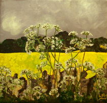 Field of gold by Wendy Mitchell