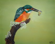 Kingfisher by Wendy Mitchell