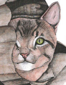 Tabby Cat von Melissa King