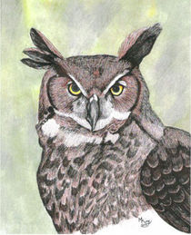 Great Horned Owl by Melissa King