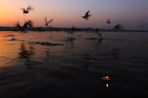 Rising Sun and the fading Lamp - Varanasi, India by Soumen Nath