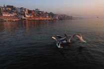 Ghats of Varanasi and the Birds - Varanasi, India von Soumen Nath