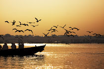 Birds, boat and Nature - Varanasi, India by Soumen Nath