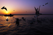 Flight of Delight-2, Varanasi, India by Soumen Nath