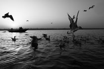 Flight of Delight-1, Varanasi, India von Soumen Nath
