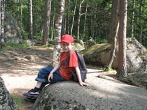 Мальчик в лесу на камне