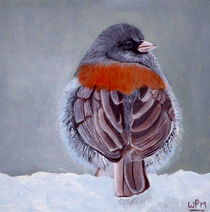 Junco by Wendy Mitchell