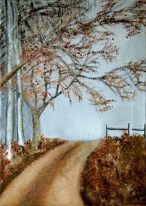 Winter lane by Wendy Mitchell