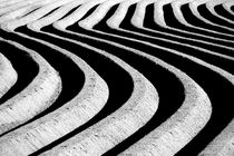 Lines by filipo-photography