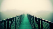 Suspension Bridge by Sookie Endo