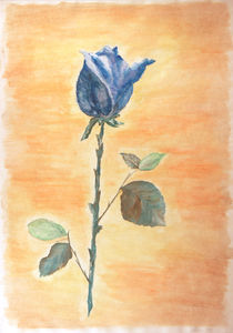 Blaue Rose - Blue rose von Patti Kafurke