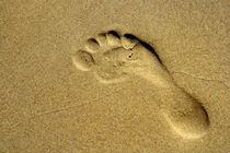 Footprint by Simon Bell