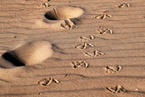 Spuren im Sand by captainsilva