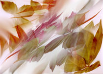 Herbstimpressionen by Ingrid Clement-Grimmer