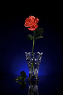 Rose, Greeting card on Blue back ground by Soumen Nath