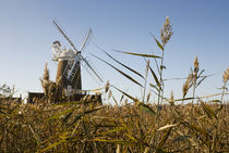 Cley Windmill by tgigreeny
