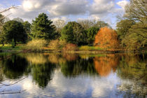 Autumn, Reflected by tgigreeny