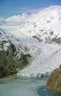 Glacier Bay, Alaska, USA von Willy Matheisl