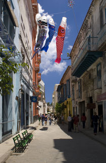 Havana Fish Kites von tgigreeny