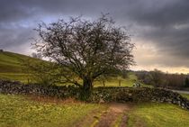 Tree, Wall and Stile by tgigreeny